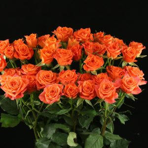 Rose Mandarin Bouquet
